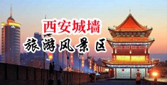 抽插小骚逼的视频中国陕西-西安城墙旅游风景区