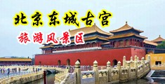 男人用鸡巴往女人逼里插网站中国北京-东城古宫旅游风景区